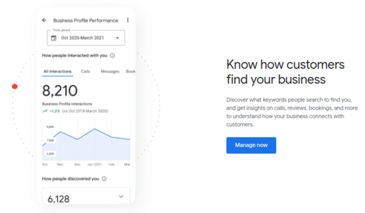 Google Business Profile Insights